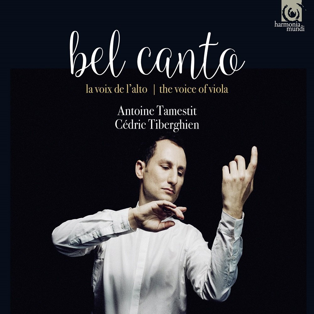 tamestit disparition alto album