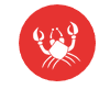 horoscope