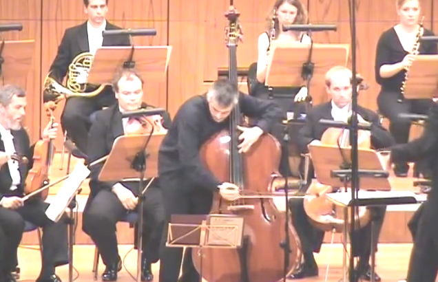double bass