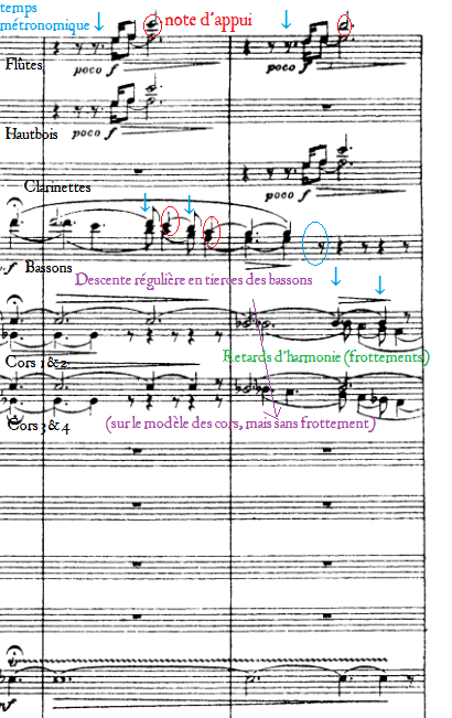sibelius 5