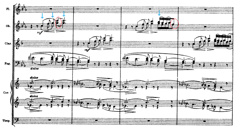 sibelius 5