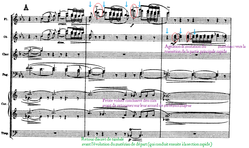 sibelius 5