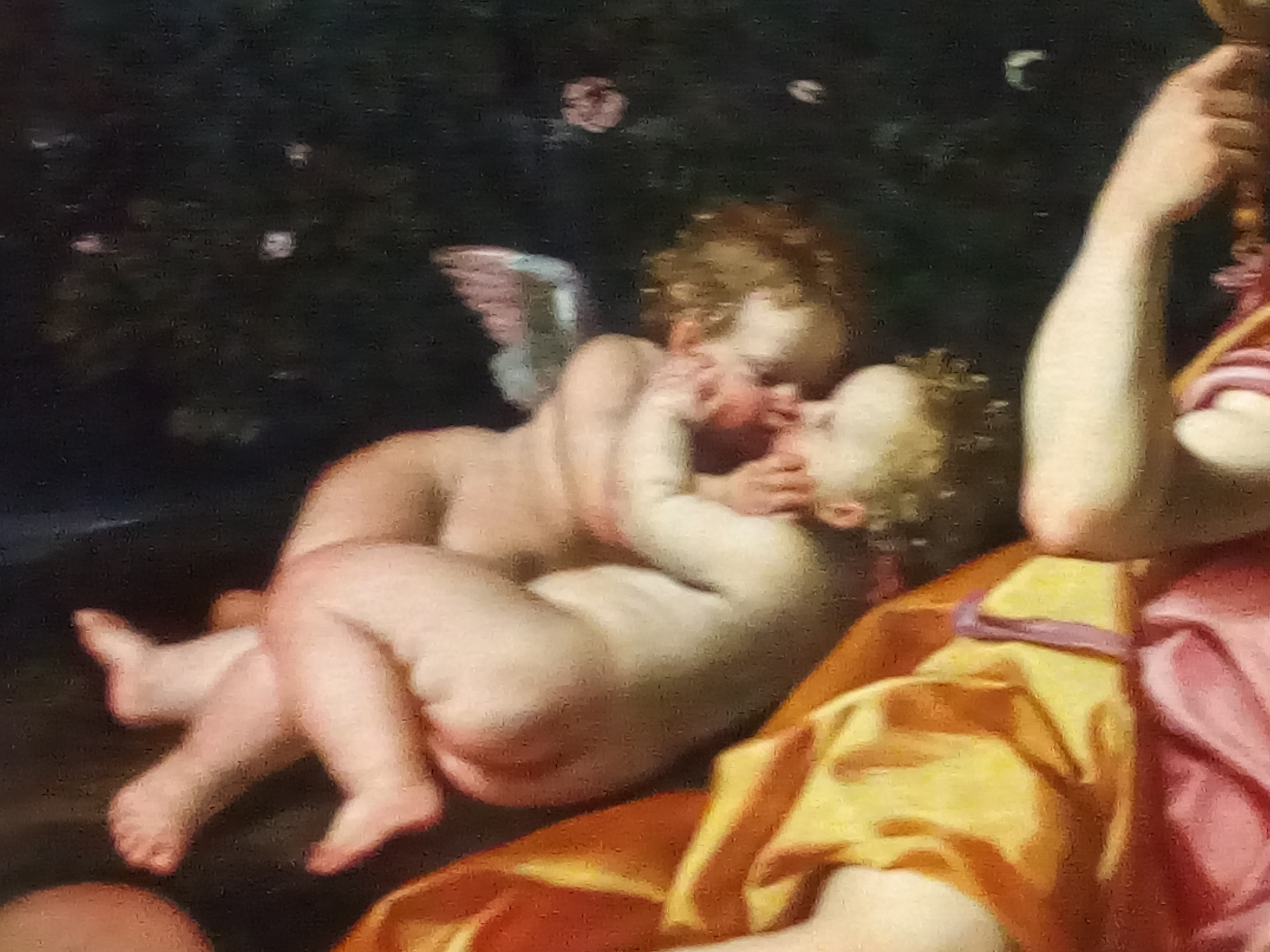 le dominiquin renaud armide putti