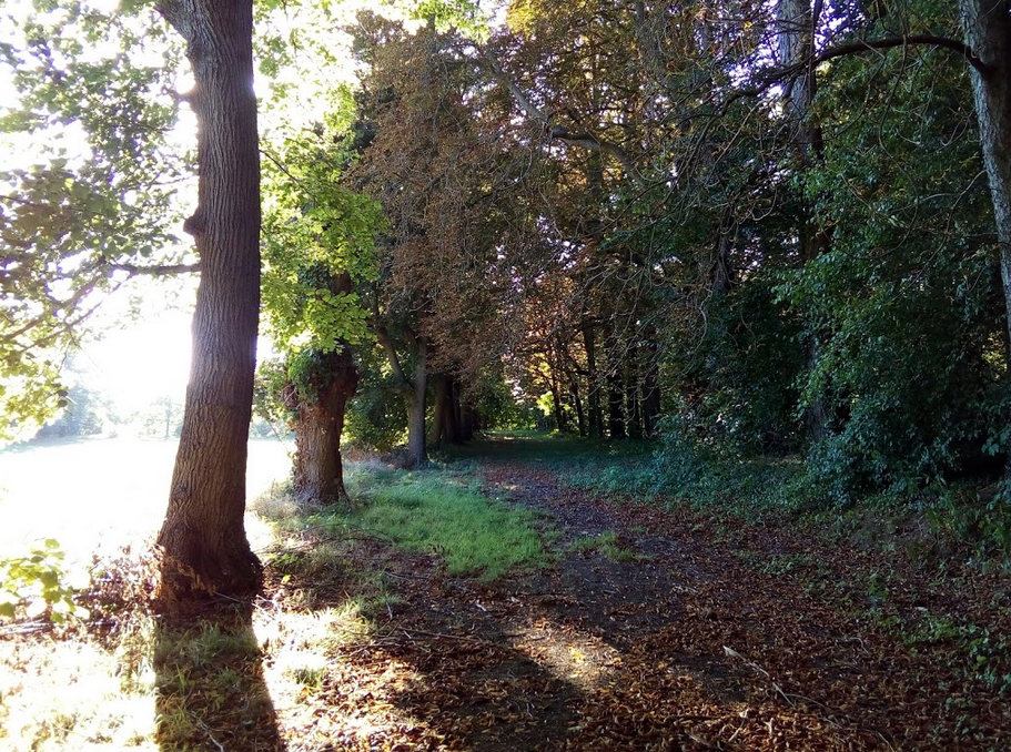 montgeroult parc