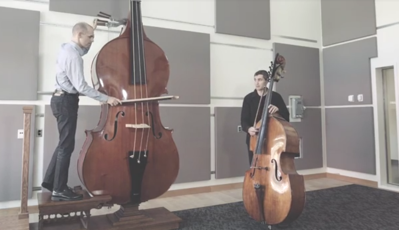 double bass