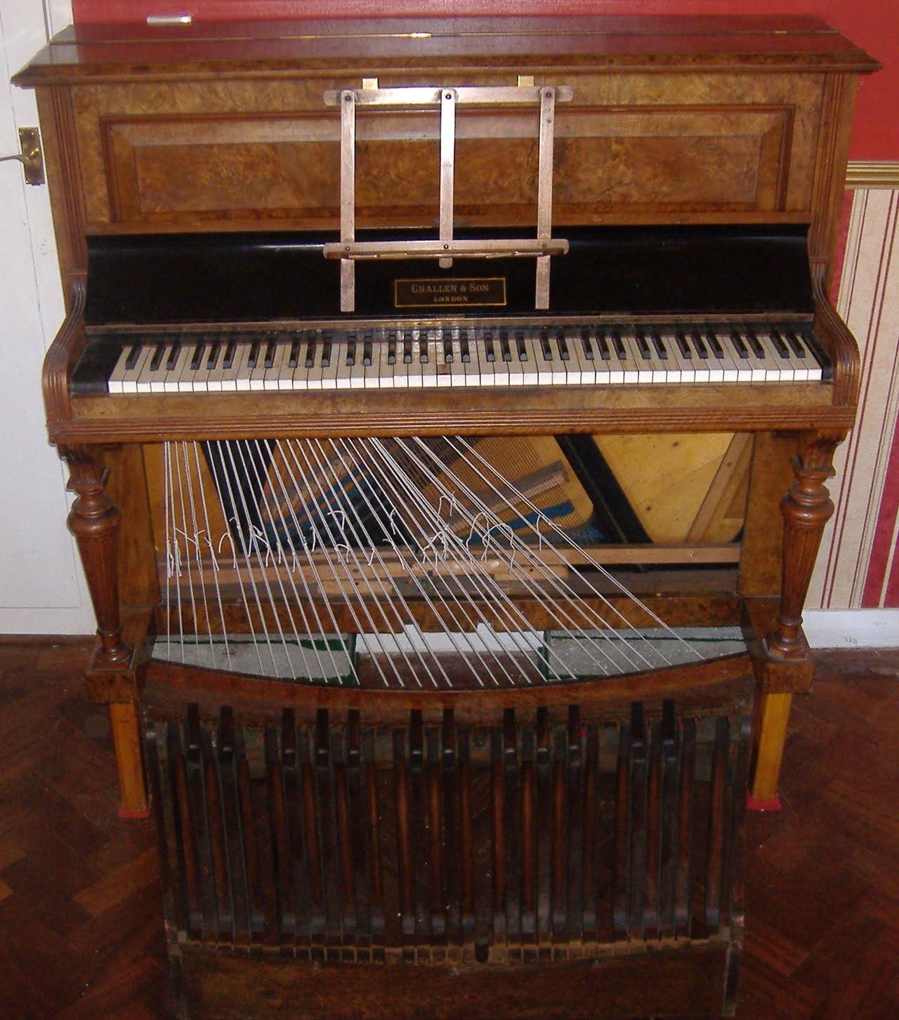 schumann rothkopf