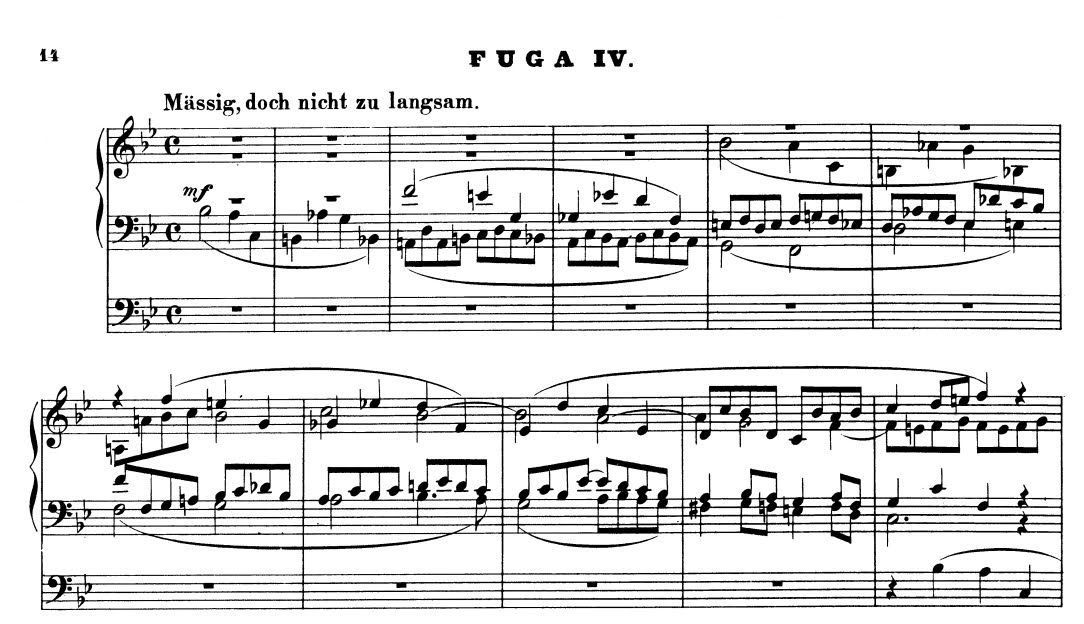 schumann rothkopf